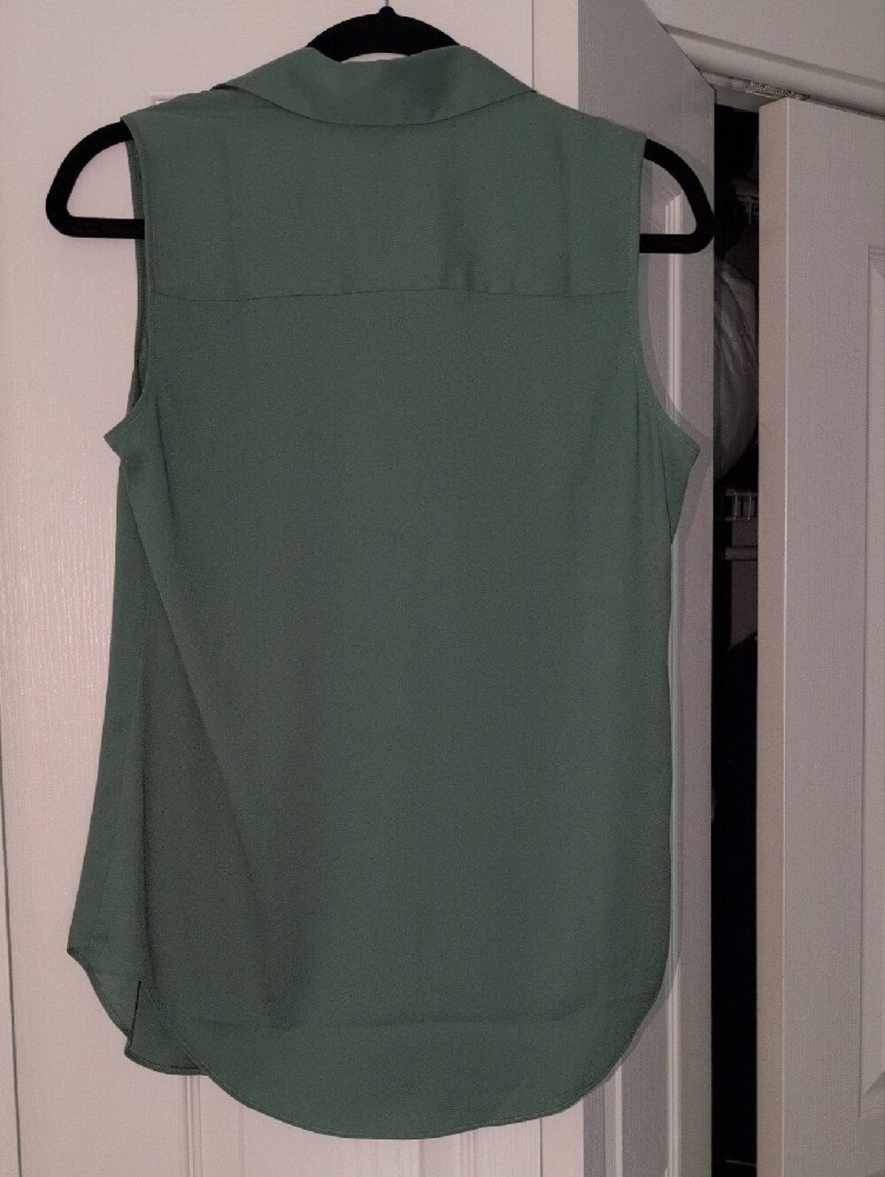 Ann Taylor Sleeveless Button-Front Blouse in Sage - Picture 3 of 3